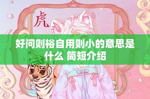 好问则裕自用则小的意思是什么 简短介绍