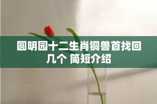 圆明园十二生肖铜兽首找回几个 简短介绍