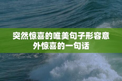 突然惊喜的唯美句子形容意外惊喜的一句话
