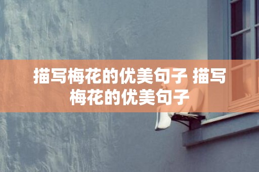 描写梅花的优美句子 描写梅花的优美句子