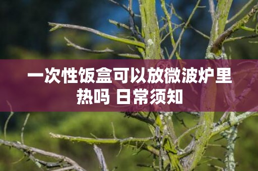 一次性饭盒可以放微波炉里热吗 日常须知