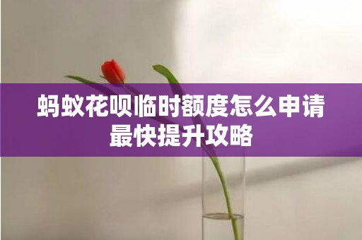 蚂蚁花呗临时额度怎么申请最快提升攻略