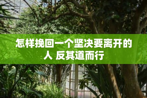 怎样挽回一个坚决要离开的人 反其道而行