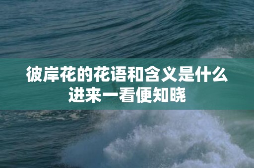 彼岸花的花语和含义是什么进来一看便知晓
