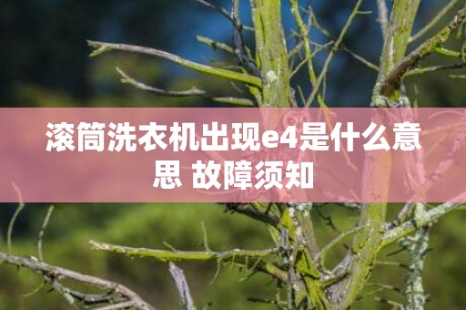 滚筒洗衣机出现e4是什么意思 故障须知