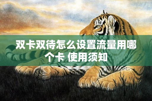双卡双待怎么设置流量用哪个卡 使用须知