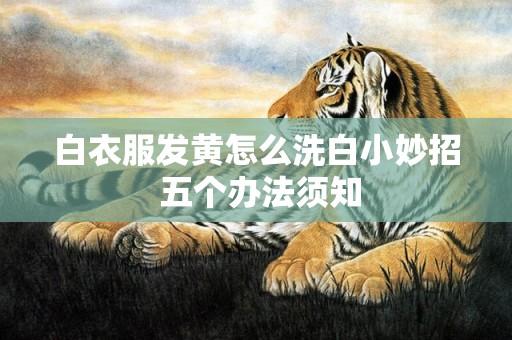 白衣服发黄怎么洗白小妙招 五个办法须知