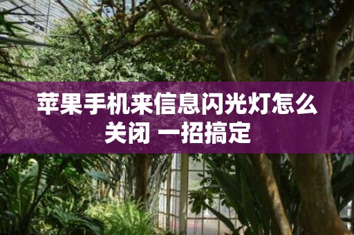 苹果手机来信息闪光灯怎么关闭 一招搞定