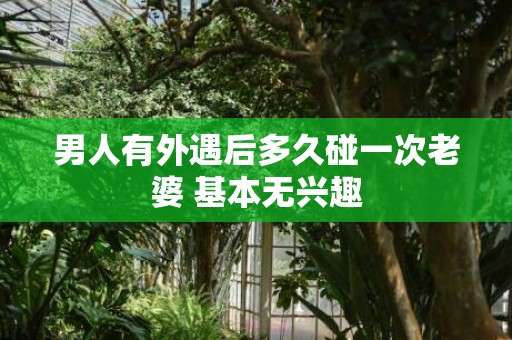 男人有外遇后多久碰一次老婆 基本无兴趣