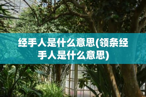 经手人是什么意思(领条经手人是什么意思)
