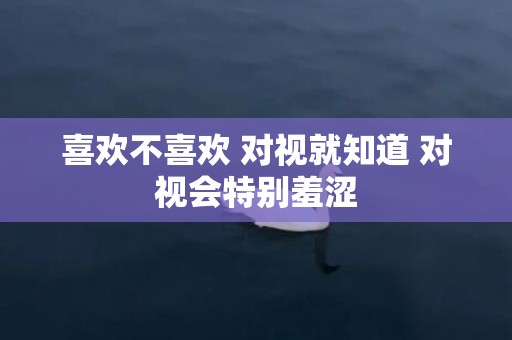 喜欢不喜欢 对视就知道 对视会特别羞涩