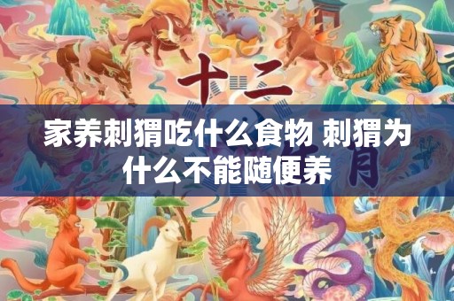 家养刺猬吃什么食物 刺猬为什么不能随便养