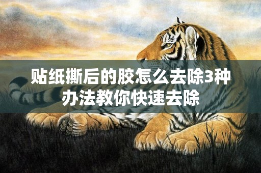 贴纸撕后的胶怎么去除3种办法教你快速去除