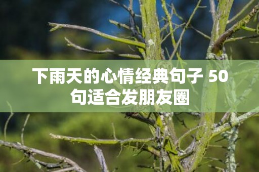 下雨天的心情经典句子 50句适合发朋友圈