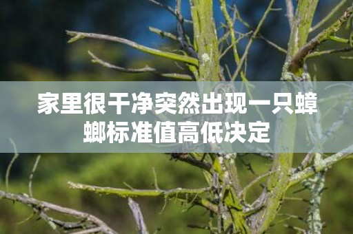 家里很干净突然出现一只蟑螂标准值高低决定
