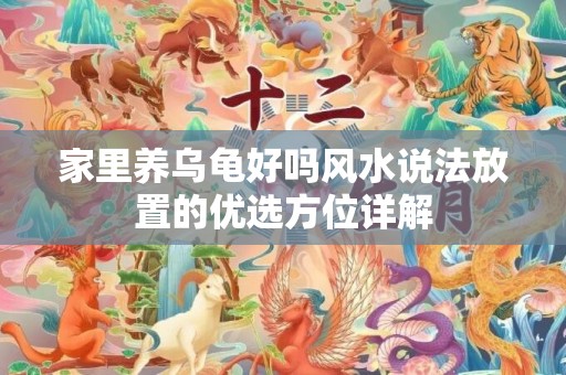 家里养乌龟好吗风水说法放置的优选方位详解