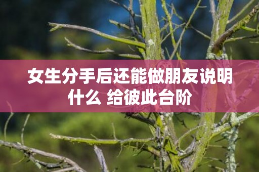 女生分手后还能做朋友说明什么 给彼此台阶