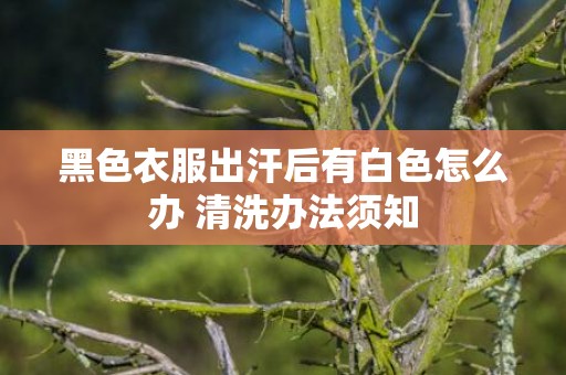 黑色衣服出汗后有白色怎么办 清洗办法须知