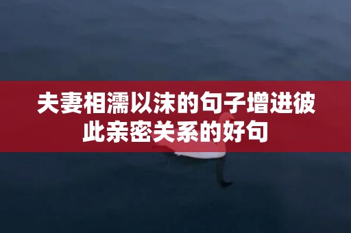 夫妻相濡以沫的句子增进彼此亲密关系的好句