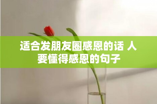 适合发朋友圈感恩的话 人要懂得感恩的句子