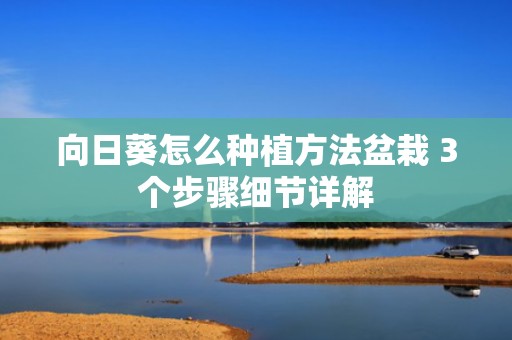 向日葵怎么种植方法盆栽 3个步骤细节详解