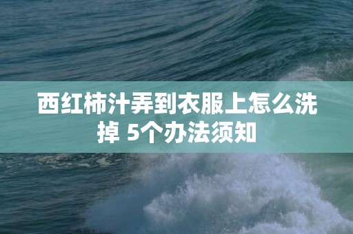 西红柿汁弄到衣服上怎么洗掉 5个办法须知