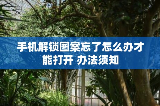 手机解锁图案忘了怎么办才能打开 办法须知