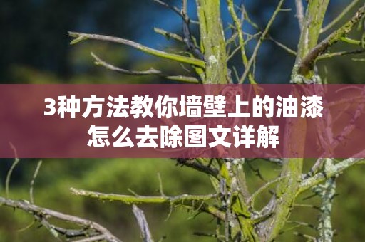 3种方法教你墙壁上的油漆怎么去除图文详解