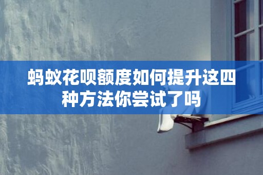 蚂蚁花呗额度如何提升这四种方法你尝试了吗