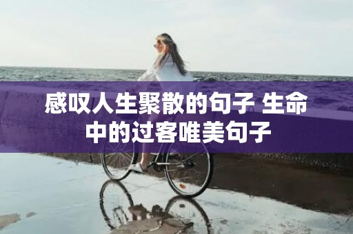 感叹人生聚散的句子 生命中的过客唯美句子