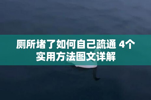 厕所堵了如何自己疏通 4个实用方法图文详解