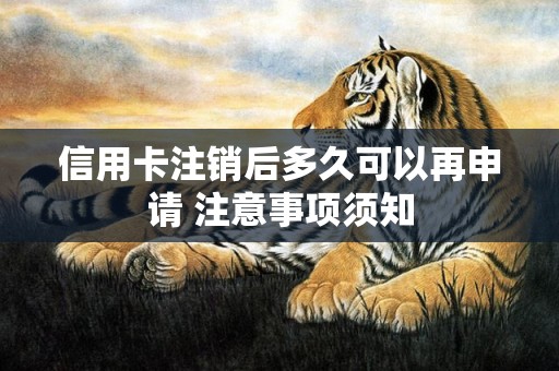 信用卡注销后多久可以再申请 注意事项须知