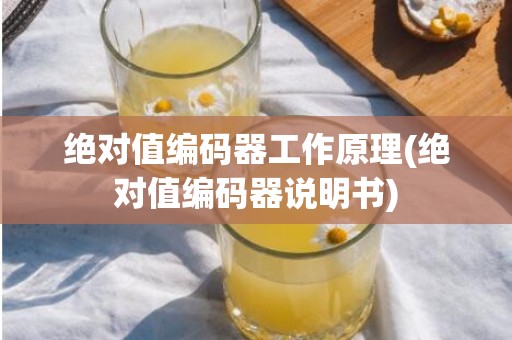 绝对值编码器工作原理(绝对值编码器说明书)