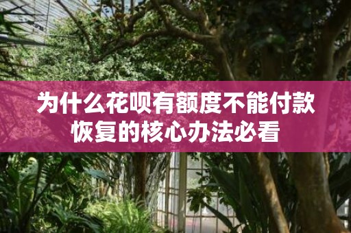 为什么花呗有额度不能付款恢复的核心办法必看