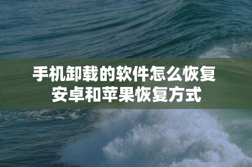 手机卸载的软件怎么恢复 安卓和苹果恢复方式