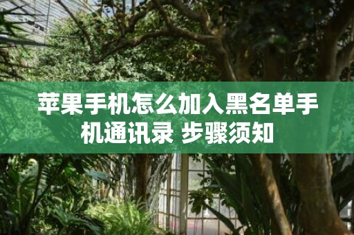 苹果手机怎么加入黑名单手机通讯录 步骤须知