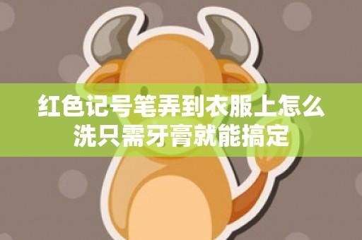 红色记号笔弄到衣服上怎么洗只需牙膏就能搞定