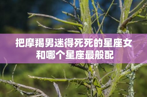 把摩羯男迷得死死的星座女 和哪个星座最般配