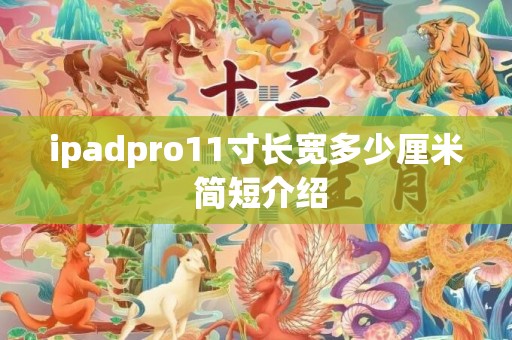 ipadpro11寸长宽多少厘米 简短介绍
