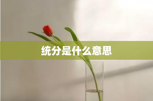 统分是什么意思