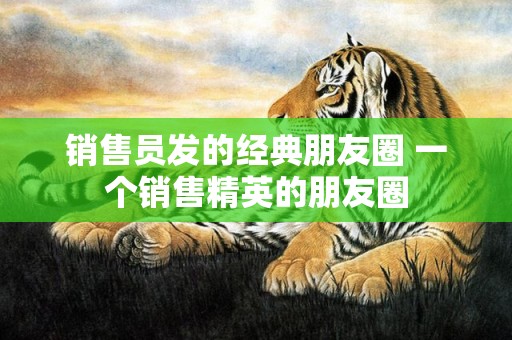 销售员发的经典朋友圈 一个销售精英的朋友圈