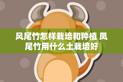 风尾竹怎样栽培和种植 凤尾竹用什么土栽培好