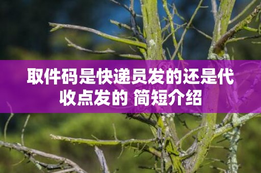取件码是快递员发的还是代收点发的 简短介绍