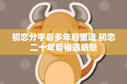 初恋分手后多年后重逢 初恋二十年后相遇感想