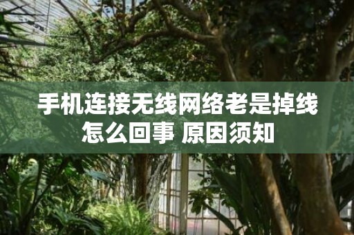 手机连接无线网络老是掉线怎么回事 原因须知