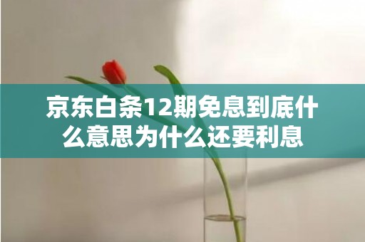 京东白条12期免息到底什么意思为什么还要利息