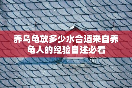 养乌龟放多少水合适来自养龟人的经验自述必看