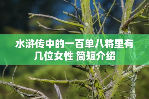 水浒传中的一百单八将里有几位女性 简短介绍