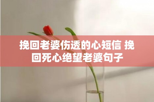 挽回老婆伤透的心短信 挽回死心绝望老婆句子