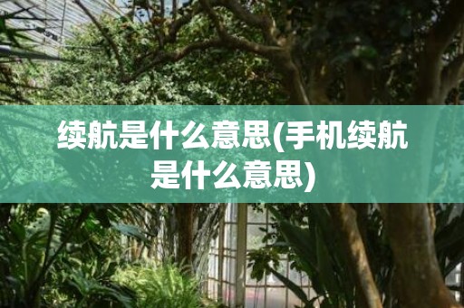 续航是什么意思(手机续航是什么意思)